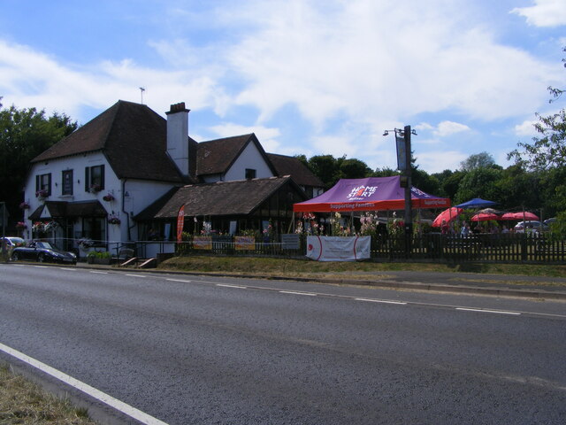 The Half Moon pub in Sheet, photographed in July 2022; historical view